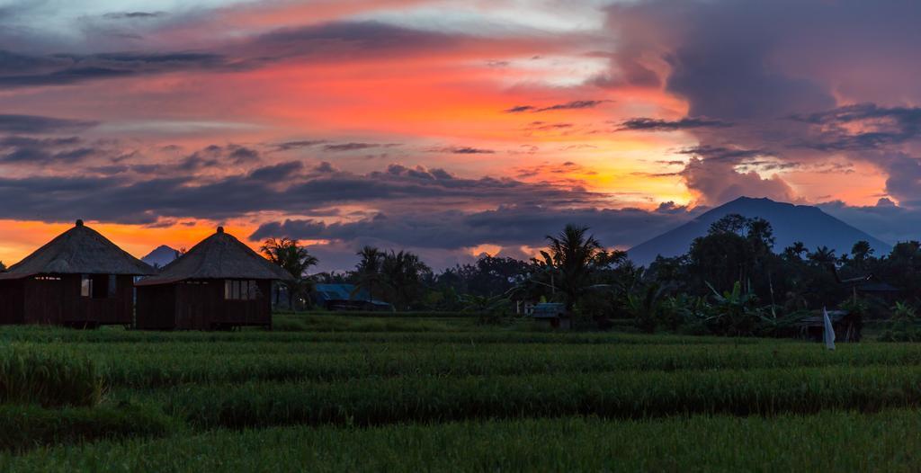โซโล วิลลา แอนด์ รีทรีต Villa อูบุด ภายนอก รูปภาพ