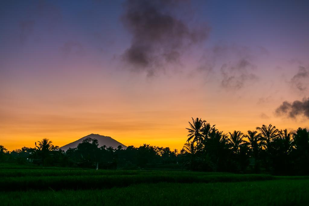โซโล วิลลา แอนด์ รีทรีต Villa อูบุด ภายนอก รูปภาพ