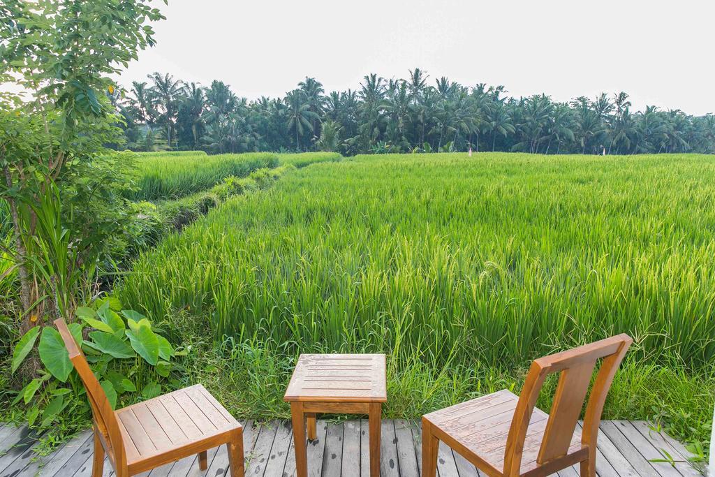 โซโล วิลลา แอนด์ รีทรีต Villa อูบุด ภายนอก รูปภาพ