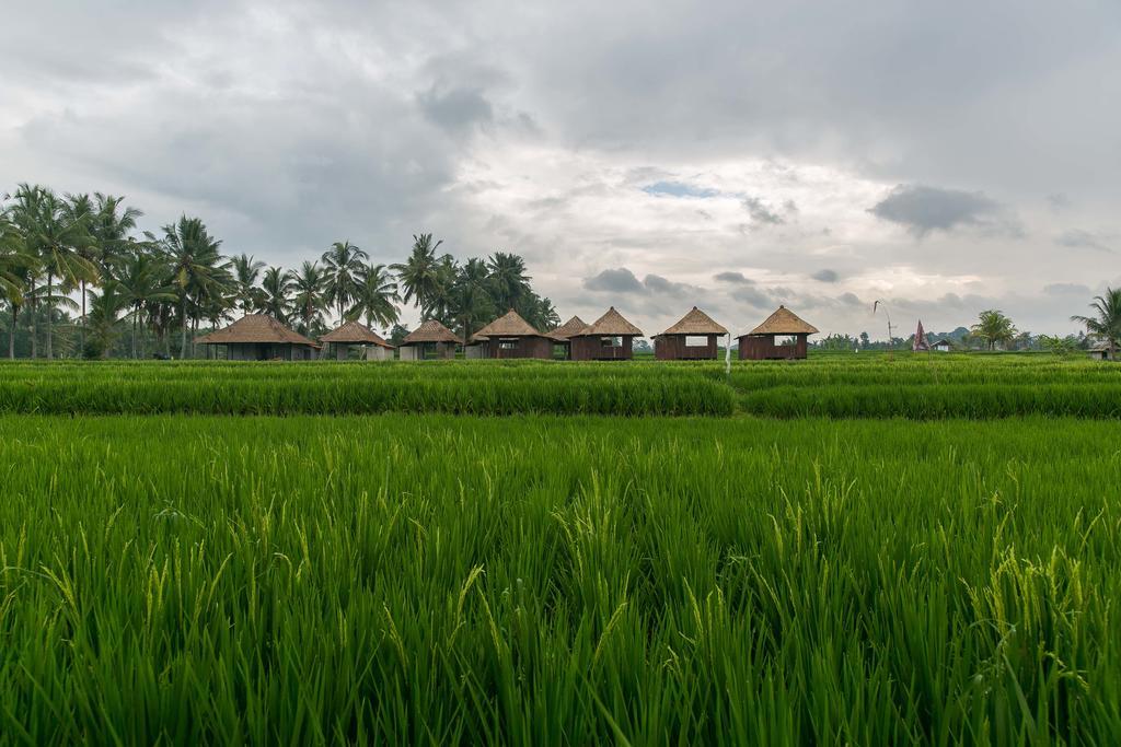 โซโล วิลลา แอนด์ รีทรีต Villa อูบุด ภายนอก รูปภาพ