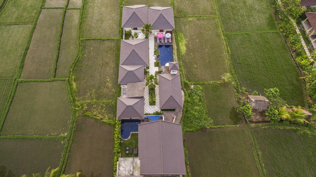 โซโล วิลลา แอนด์ รีทรีต Villa อูบุด ภายนอก รูปภาพ