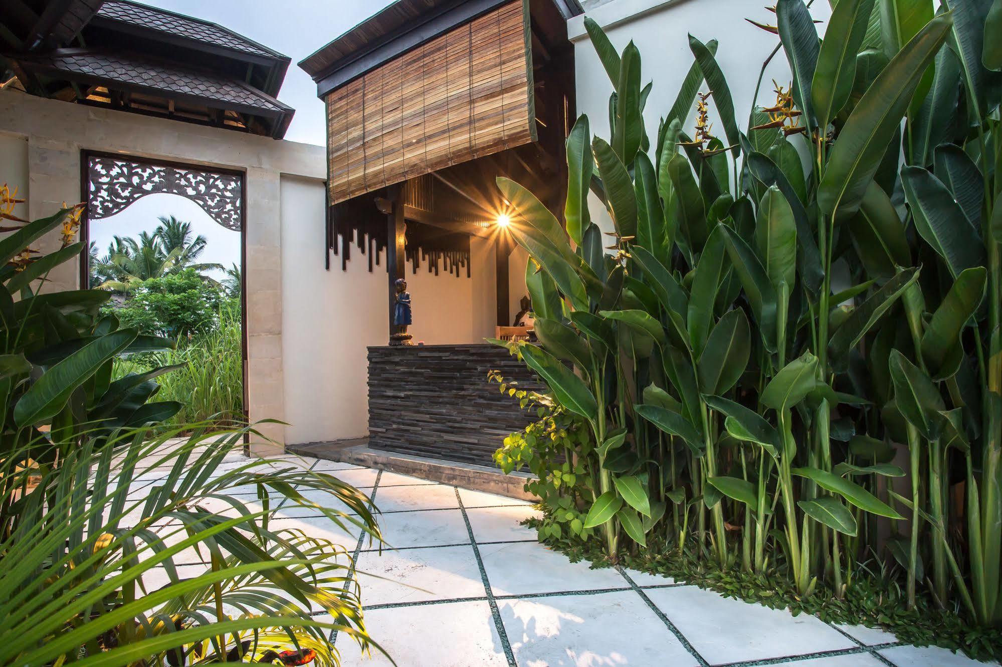 โซโล วิลลา แอนด์ รีทรีต Villa อูบุด ภายนอก รูปภาพ